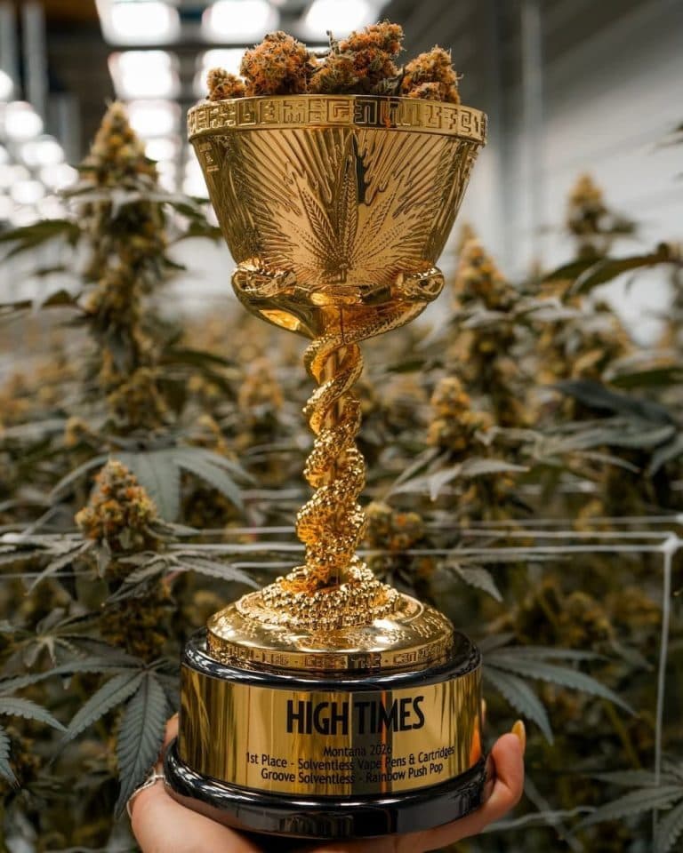 A gold trophy cup overflowing with cannabis flower